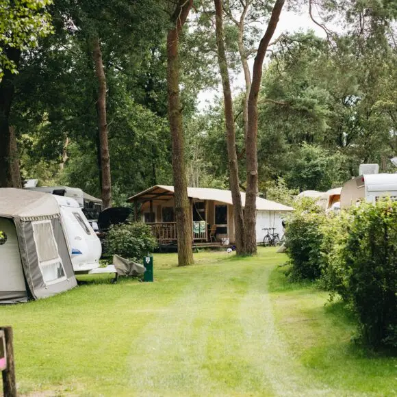 Vakantiepark Beerze Bulten | kamperen Marker Wadden | ANWB