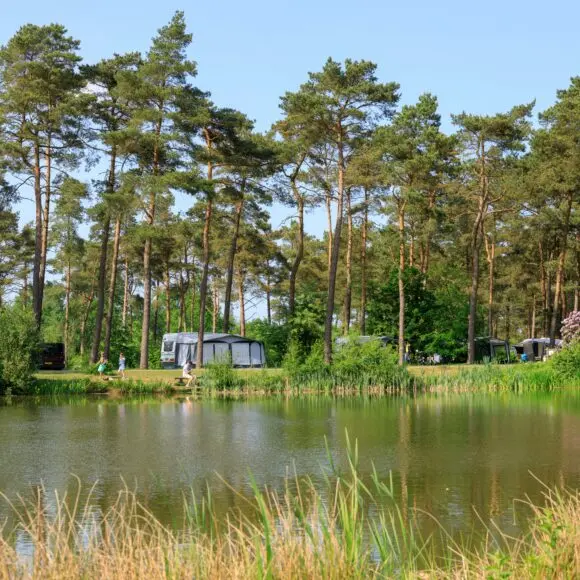 Ardoer Camping Diana Heide | kamperen Ameland | ANWB