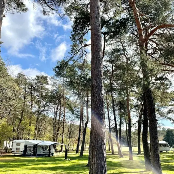 Vakantiepark Hertenhorst | kamperen Marker Wadden | ANWB