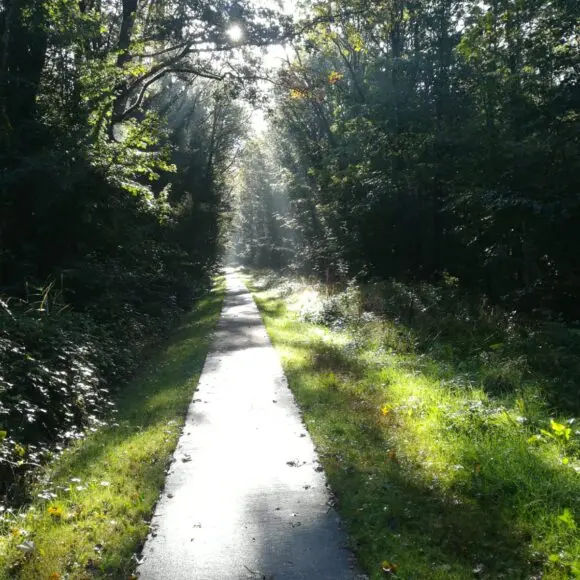 Recreatiepark De Voorst | kamperen Marker Wadden | ANWB