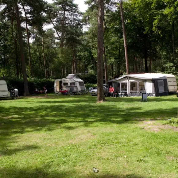 Vakantiepark Bonte Vlucht | kamperen Marker Wadden | ANWB