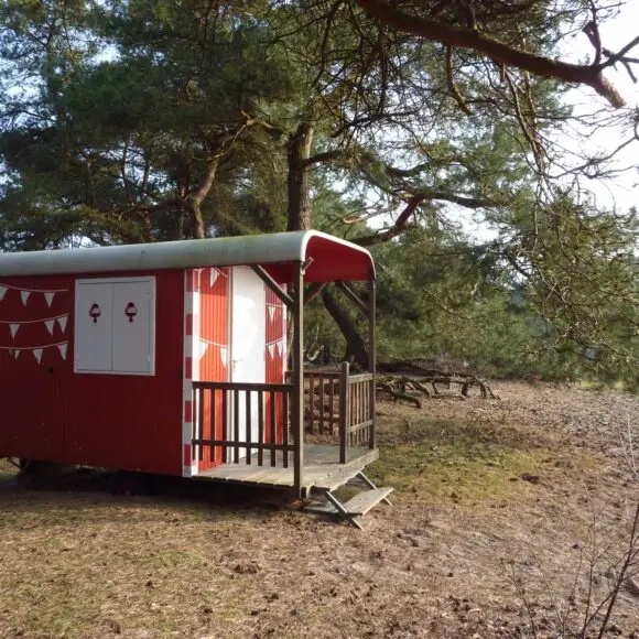 Bos Park Bilthoven | kamperen Marker Wadden | ANWB
