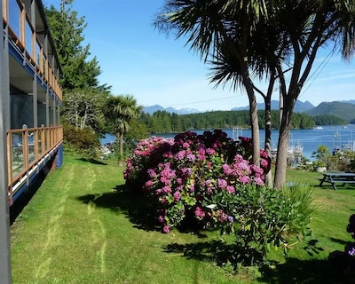 Tofino Motel Harborview