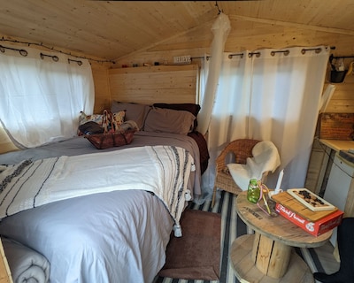 Sleep With Alpacas In Port Hope, An Hour Away From Toronto