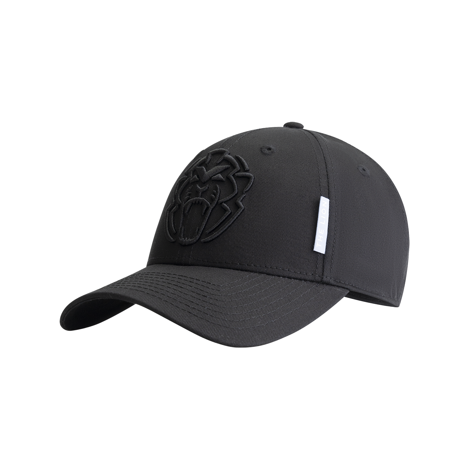 Unleash The Lion – Cap – Zwart – Zwart – One Size