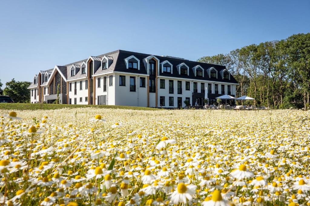 Eilandhotel Texel – Nieuw geopend hotel