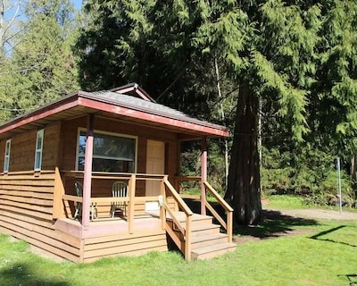 Cedar Grove Motel And Cabins