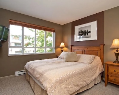 Whistler Blackcomb VR at Town Plaza