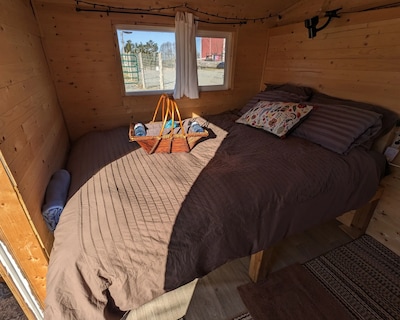 Sleep With Alpacas In Port Hope An Hour Away From Toronto