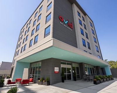 Avid Hotel Brooklyn – Dyker Heights By Ihg