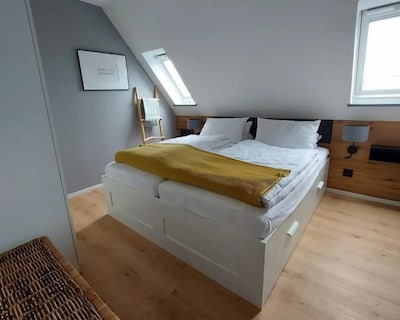 Seagulls Nest In The Villa Medici