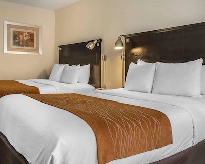 Comfort Inn & Suites LaGuardia Airport