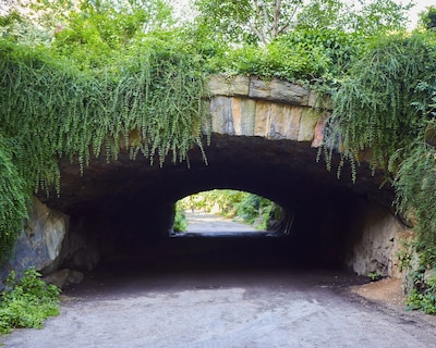 5th & 55th Residence Club