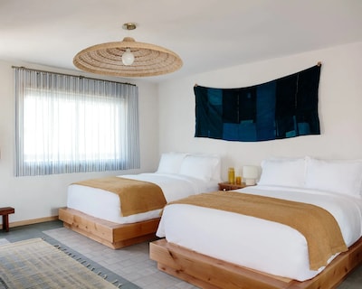 Daunts Albatross Motel