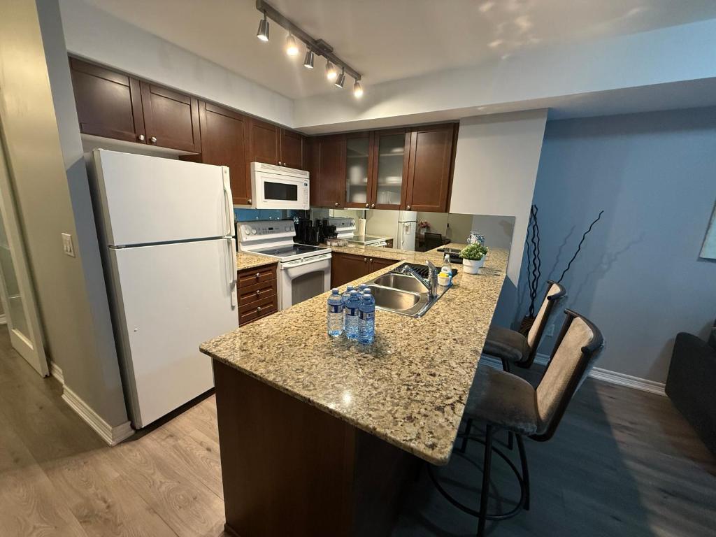 Large Downtown 2Br condo with Parking steps to Eaton Centre, UofT and SickKids