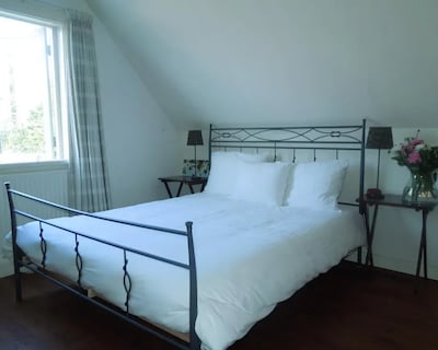 Bed & Breakfast Frans Hals Haarlem