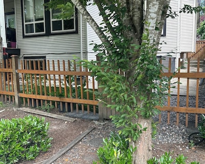 Spacious & Bright 2 Bedroom Suite With Full Kitchen And In-suite Laundry!