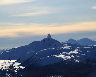 Quirky Suite In Whistler Village Cedar Sauna + Hot Tub Access