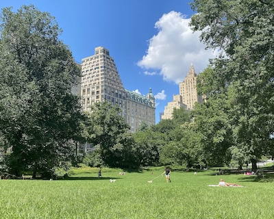 Nap York Central Park Sleep Station