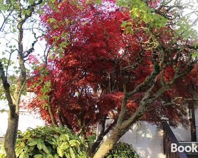 John’s House in Vancouver West