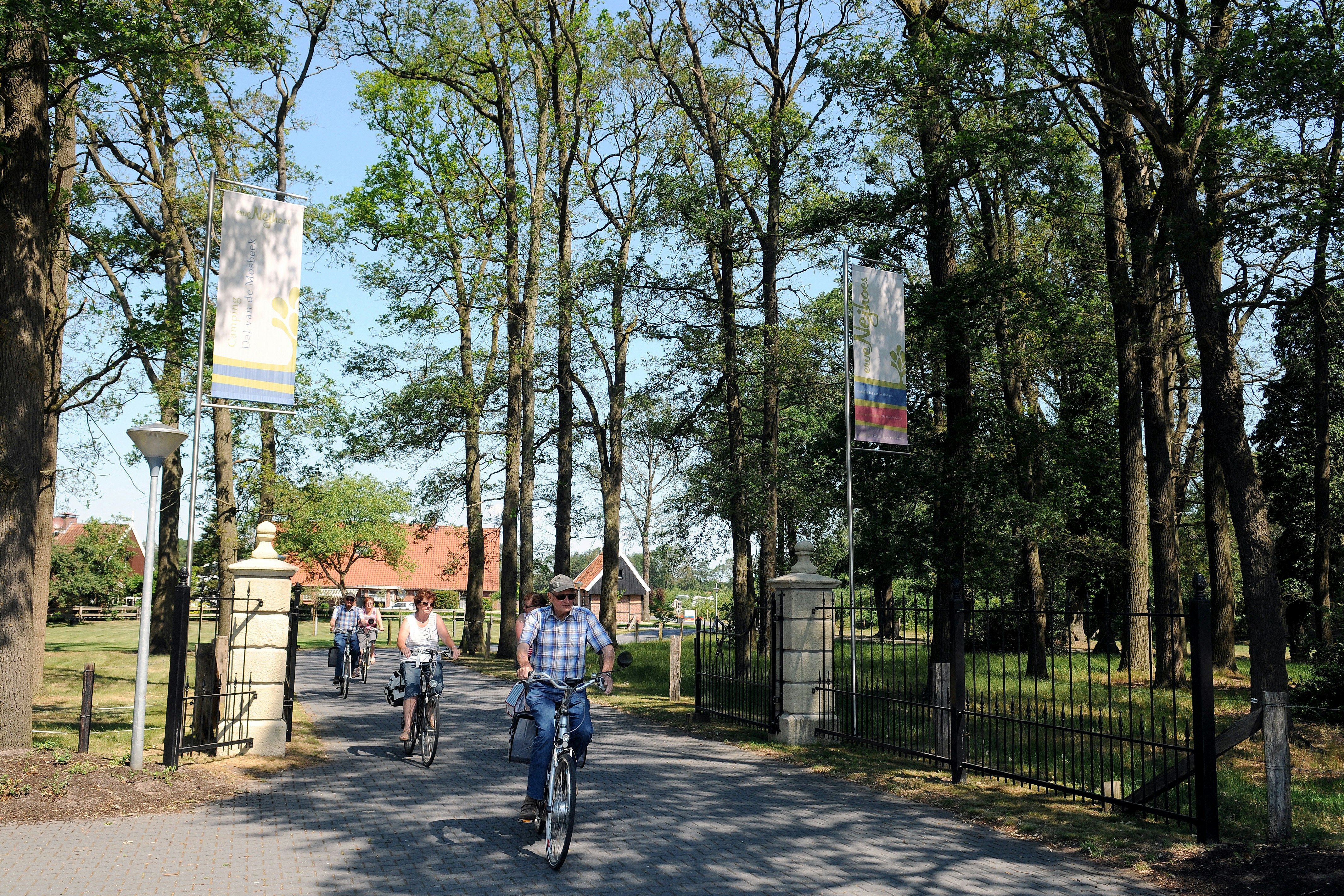 Camping Dal Van De Mosbeek