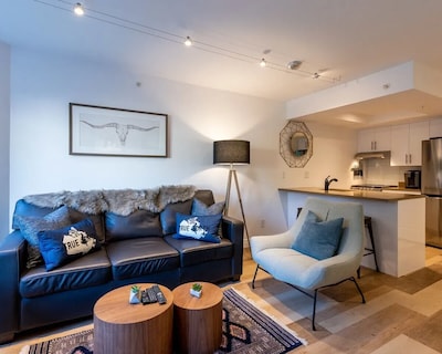 Newly Renovated Stylish One Bedroom Condo