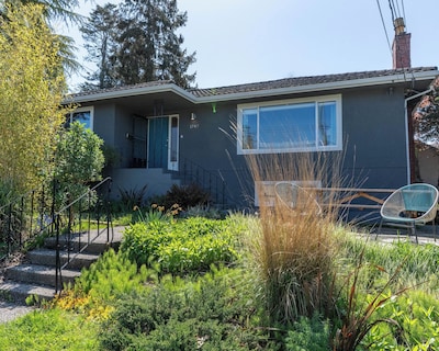 Stylish Mid-Century Modern Bright Apartment w/ park views. Pet friendly!