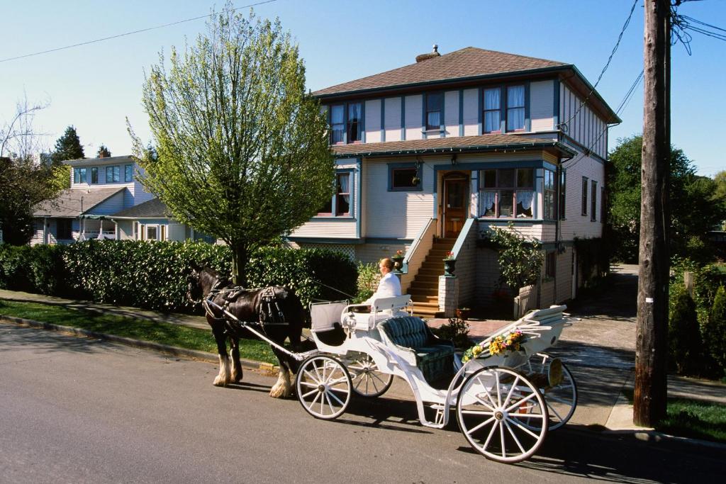 Marketa’s Bed and Breakfast