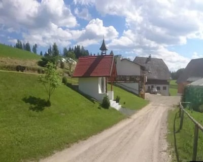 BIO-Peisingerhof