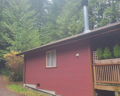 Evergreen Forest Cabins