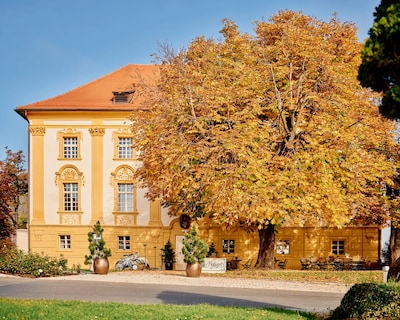 Hotel Hofwirt